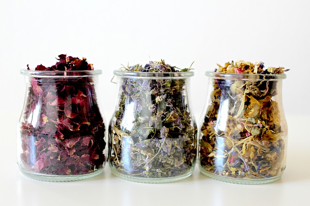 comment nettoyer son intestin naturellement avec des plantes